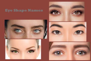 Eye Shape Names and Their Features