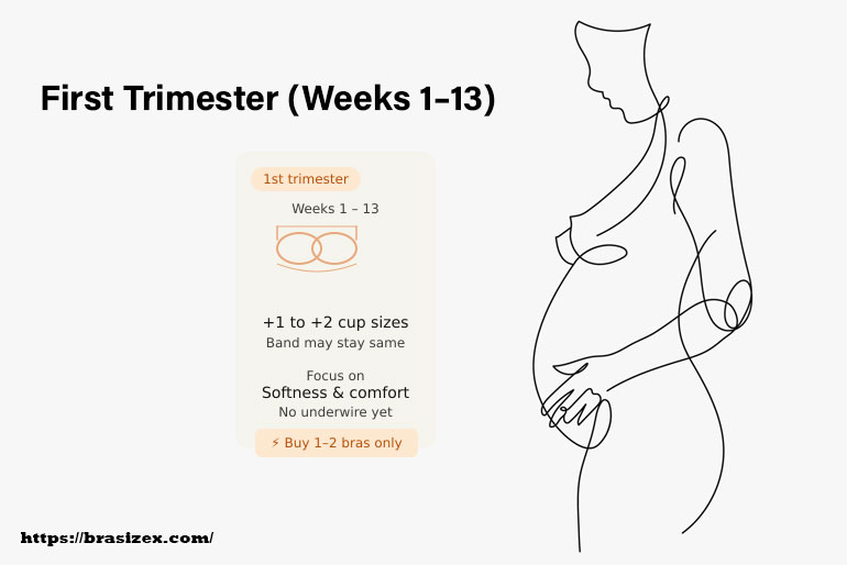 First Trimester (Weeks 1–13)