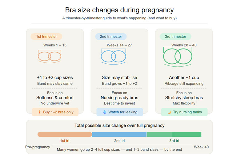 How Bra Size Changes During Pregnancy