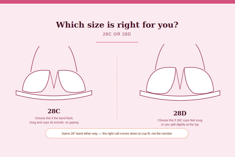 Which Size Is Right For You